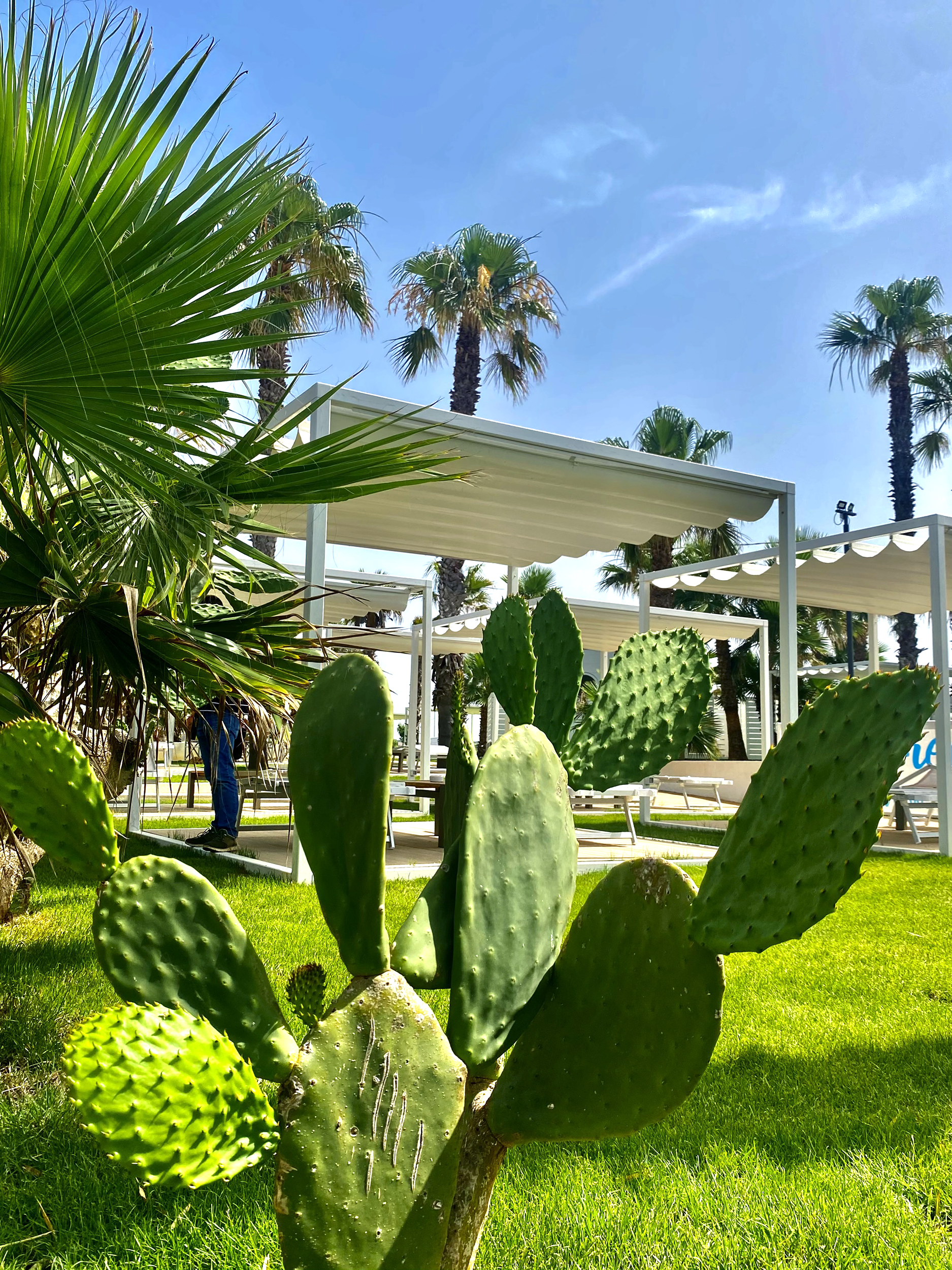 pergola beach sprech progettato su misura